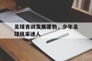 IM电竞下载网址-足球青训发展蓬勃，少年足球风采迷人