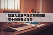 IM电竞下载网址-斯洛文尼亚队在欧锦赛资格赛中连胜晋级在望