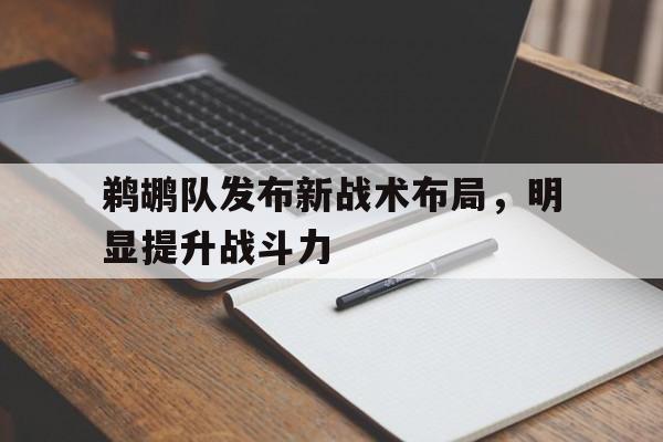 鹈鹕队发布新战术布局，明显提升战斗力