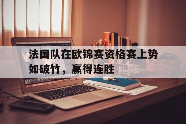 法国队在欧锦赛资格赛上势如破竹，赢得连胜